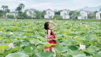 Check-in đầm sen Bạch Thủy, thưởng trọn tinh hoa ẩm thực từ sen tại Vườn Vua Resort