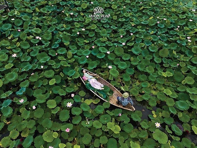 Mỗi độ hè về, đầm sen Bạch Thủy lại trở thành điểm hẹn lý tưởng cho những ai yêu thiên nhiên và nghệ thuật nhiếp ảnh.