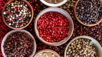 Giá tiêu tăng đồng loạt, thị trường nội địa và thế giới sôi động trở lại