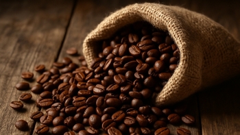 Giá cà phê giảm sâu kỷ lục: Nông dân Tây Nguyên đối mặt áp lực kép