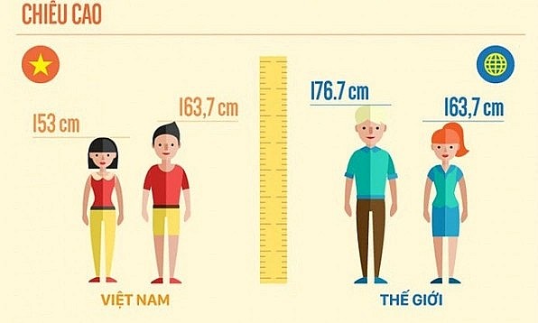 Theo thống kê mới nhất, chiều cao trung bình của nam thanh niên Việt Nam hiện là 168,1 cm và nữ là 156,2 cm, thấp hơn tiêu chuẩn toàn cầu.