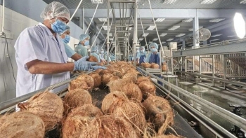 Giữ nguyên liệu, nâng giá trị thương hiệu dừa