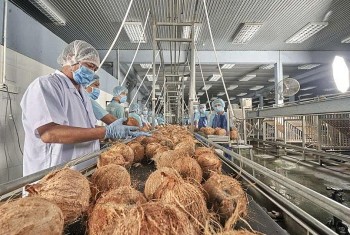 Giữ nguyên liệu, nâng giá trị thương hiệu dừa