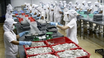 Bứt tốc xuất khẩu nông sản cuối năm 2025