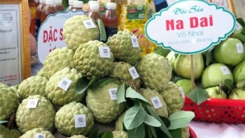 Từ sáp nhập đơn vị hành chính đến xây dựng vùng OCOP liên kết: Hướng đi tất yếu cho phát triển bền vững