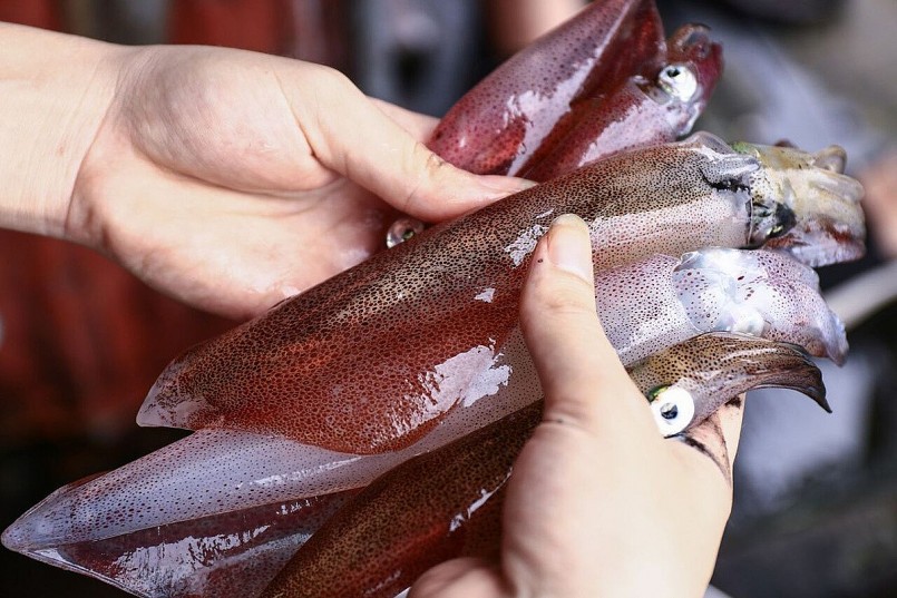 Mực nhảy – hay còn gọi là mực nháy – là tên gọi dùng để chỉ những con mực vừa được ngư dân đánh bắt, còn sống.