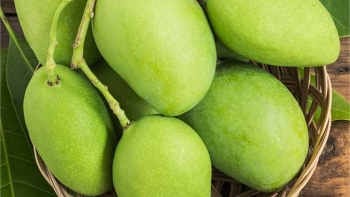 Người tiểu đường có nên ăn xoài?