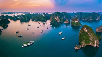 Đưa du lịch tàu biển thành ngành mũi nhọn