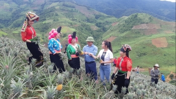 Kết nối sản xuất và thương mại đặc sản vùng cao Tây Bắc