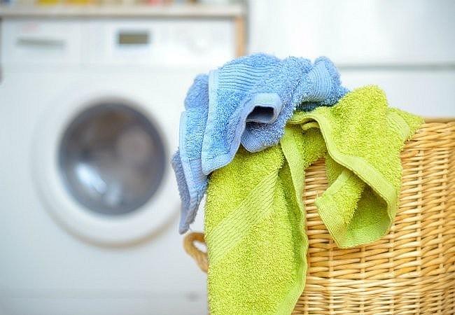 Khăn lau ẩm là nơi lý tưởng cho vi khuẩn, nấm và virus sinh sôi.