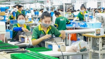 Xuất khẩu chững lại, doanh nghiệp kỳ vọng bứt tốc nửa cuối năm 2025