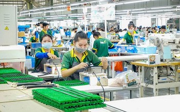 Xuất khẩu chững lại, doanh nghiệp kỳ vọng bứt tốc nửa cuối năm 2025