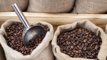 Giá cà phê trong nước tăng nhẹ theo đà robusta, arabica giảm sâu vì áp lực mùa vụ