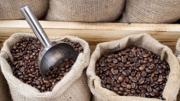 Giá cà phê trong nước tăng nhẹ theo đà robusta, arabica giảm sâu vì áp lực mùa vụ