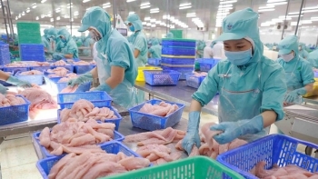 Thương hiệu cá tra Việt Nam: Chất lượng, giá rẻ và sức hấp dẫn tại thị trường Mỹ