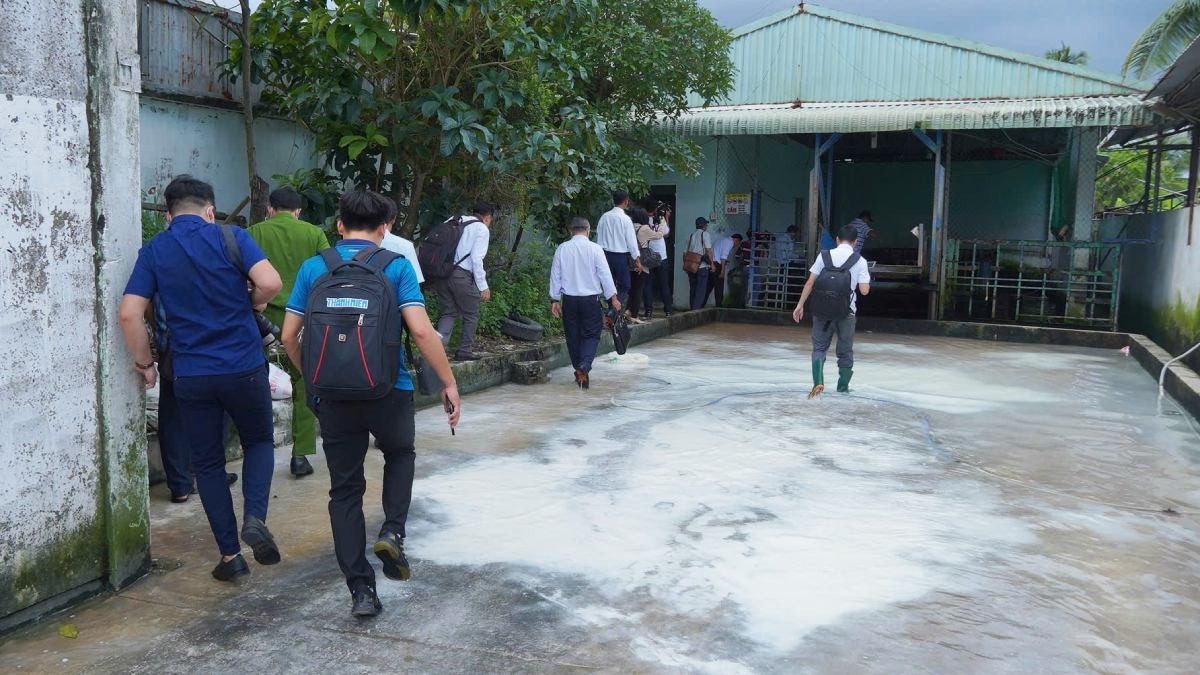 Không khởi tố hình sự vụ tố công ty C.P. Việt Nam bán thịt heo bẩn. Ảnh: Tạ Quang