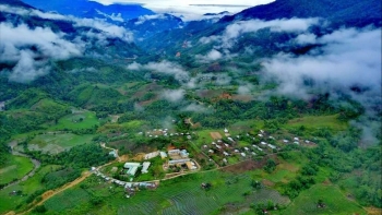 Quy định mới về nuôi, trồng và thu hoạch cây dược liệu trong rừng