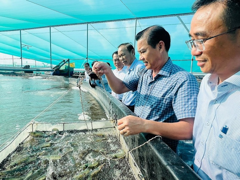 Mô hình nuôi tôm tuần hoàn sử dụng mái che và công nghệ xử lý nước – giải pháp bền vững trong chiến lược chuyển đổi xanh toàn ngành.