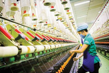 Chuyển đổi công nghệ: Chìa khóa bứt phá doanh nghiệp nhỏ