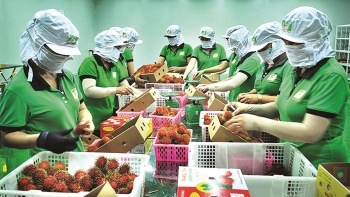 Cơ hội cho hàng Việt ra thế giới