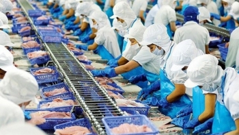 Bộ NN-MT lên kịch bản ứng phó với thuế quan Mỹ, giữ mục tiêu xuất khẩu 65 tỉ USD năm 2025