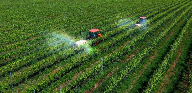 Các hợp tác xã nông nghiệp đang từng bước tiếp cận công nghệ, hướng đến nâng cao hiệu quả sản xuất và quản lý trong quá trình chuyển đổi số. Các hợp tác xã nông nghiệp đang từng bước tiếp cận công nghệ, hướng đến nâng cao hiệu quả sản xuất và quản lý trong quá trình chuyển đổi số.