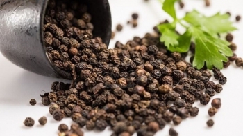 Giá tiêu trong nước quay đầu giảm, kết thúc chuỗi 7 ngày tăng liên tiếp