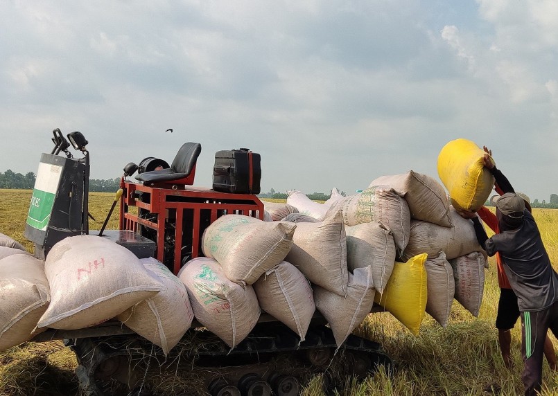 Củng cố thương hiệu gạo Việt Nam xuất khẩu