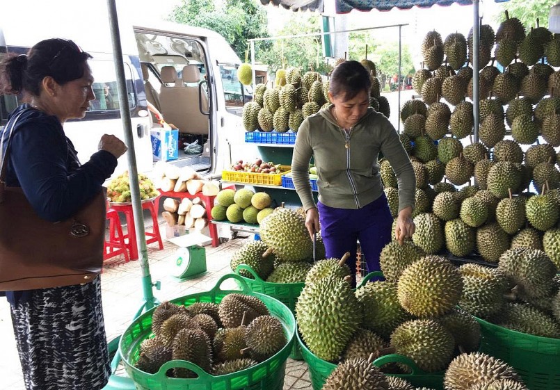 Người tiêu dùng chọn mua sầu riêng nhập khẩu tại hệ thống bán lẻ hiện đại, trong bối cảnh nguồn cung nội địa sụt giảm do yếu tố mùa vụ.
