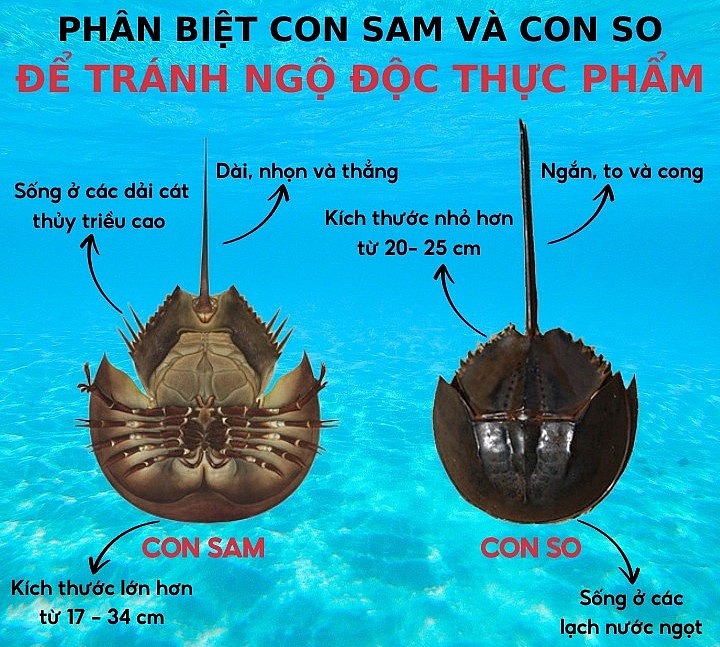 Cảnh báo nguy cơ thuốc giả trên mạng xã hội