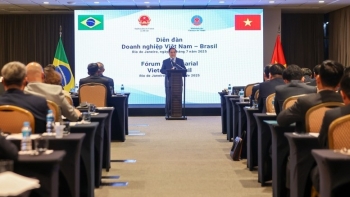 Việt Nam – Brazil tăng hợp tác nông sản, gạo là mặt hàng chủ lực