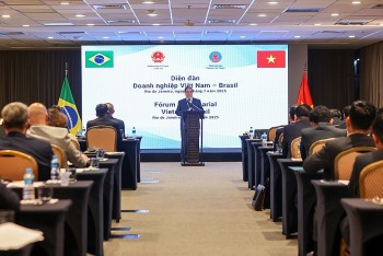Việt Nam – Brazil tăng hợp tác nông sản, gạo là mặt hàng chủ lực