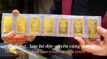 Xóa bỏ độc quyền vàng miếng, Thủ tướng ấn định hạn trình dự thảo trước 15/7