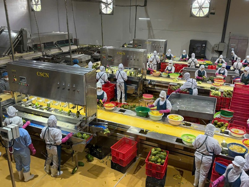 Để trái cây Việt vững vàng mùa thu hoạch