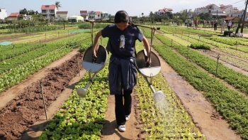 Hệ sinh thái quyết định sức bật du lịch xanh