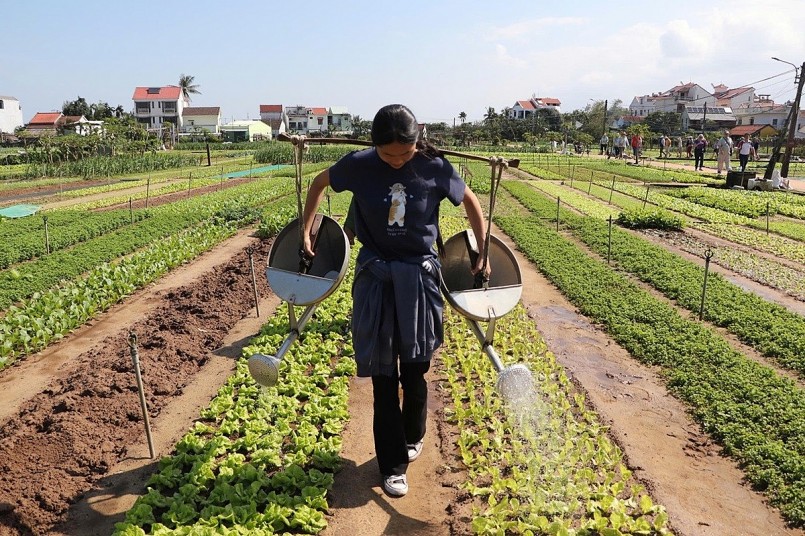 Hệ sinh thái quyết định sức bật du lịch xanh Hệ sinh thái quyết định sức bật du lịch xanh
