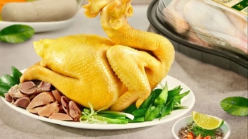 Giải mã cách ăn thịt gà an toàn cho người mỡ máu cao