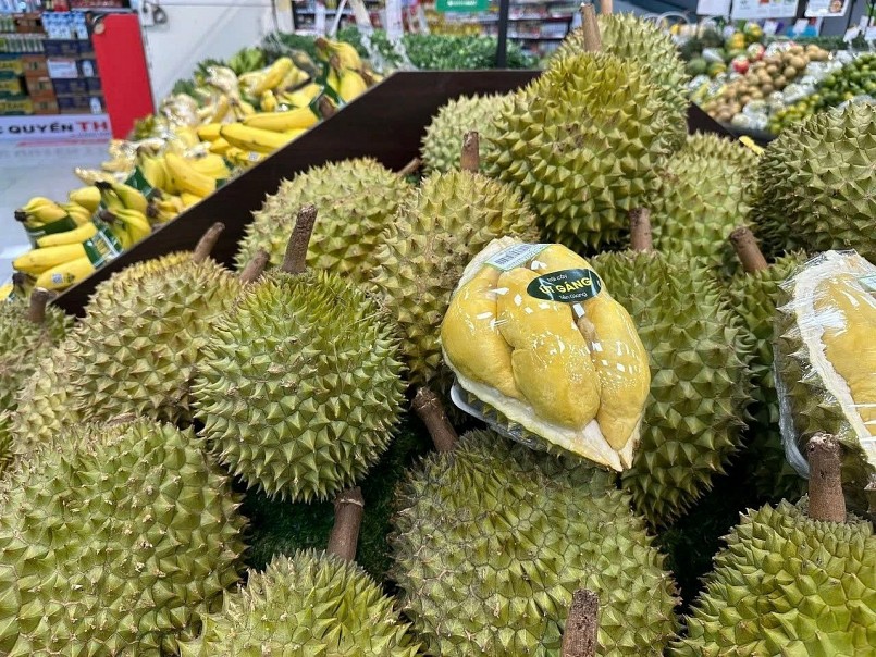 Sầu riêng được đóng gói và phân loại theo tiêu chuẩn, sẵn sàng cho tiêu thụ nội địa và xuất khẩu chính ngạch.