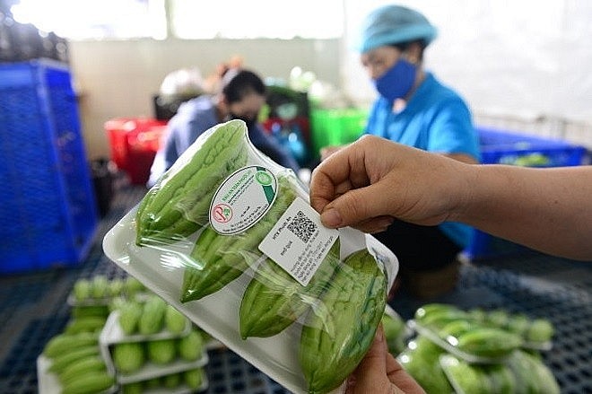 Doanh nghiệp kiểm tra mã QR truy xuất trên lô hàng xuất khẩu nông sản – minh chứng cho yêu cầu minh bạch nguồn gốc ngày càng cao từ thị trường quốc tế.