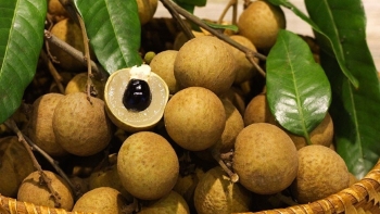 Cơ hội vàng để khẳng định thương hiệu nhãn lồng Hưng Yên trên thị trường quốc tế