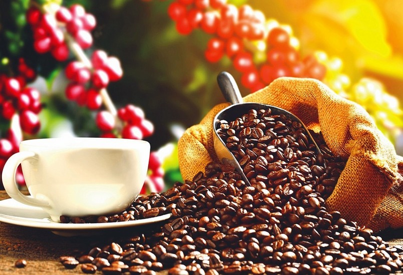 Cà phê Việt Nam được xuất khẩu chủ yếu dưới dạng nguyên liệu thô, khiến hình ảnh thương hiệu thiếu bản sắc và khó tạo cảm xúc với người tiêu dùng quốc tế.