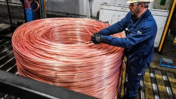 Mỹ tăng thuế đồng 50%: Thị trường Việt Nam giữ vững ổn định, không lo tác động lan tỏa