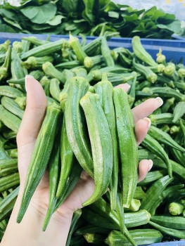 Ách tắc thanh long, ớt, đậu bắp: Khi giấy phép trở thành “nút thắt” xuất khẩu