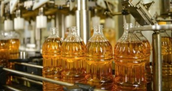 Dầu sạch tự ép tại nhà có thật sự an toàn?