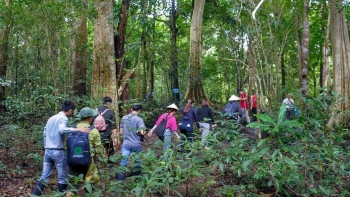 Du lịch xanh chỉ bền khi cộng đồng cùng nhập cuộc