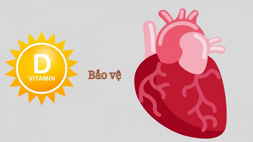 Vitamin D không chỉ giúp xương chắc khỏe mà còn giảm nguy cơ mắc bệnh tim mạch, theo các nghiên cứu mới.          Hỏi ChatGPT