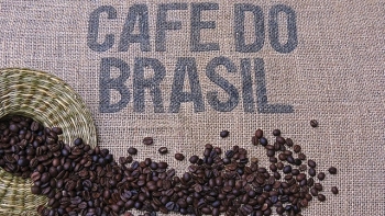 Thị trường cà phê toàn cầu biến động trước thời hạn áp thuế mới tại Mỹ