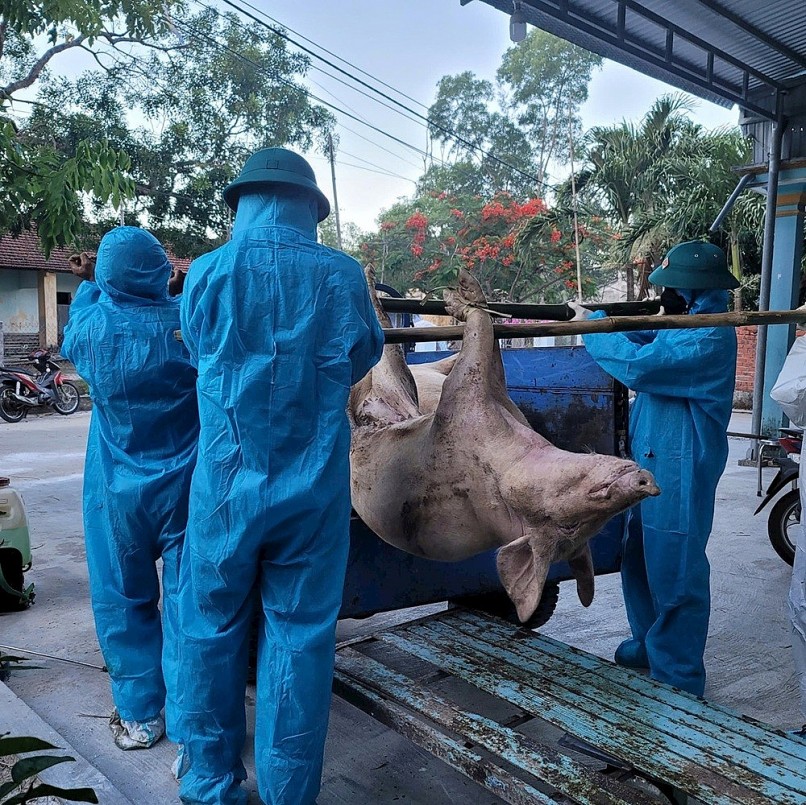 Ảnh: QUANG SƠN. Ảnh: QUANG SƠN.