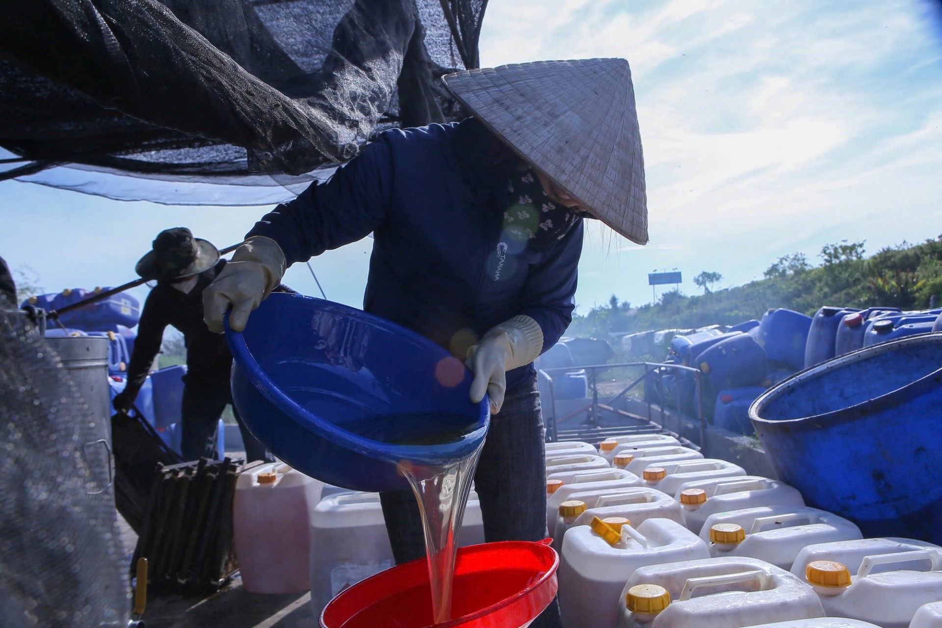 Mật ong sau khi quay xong được đổ vào từng can. (Ảnh: Công Luật/TTXVN)