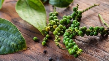 Giá tiêu hôm nay 18/7: Thị trường lặng sóng, giá trong nước neo cao